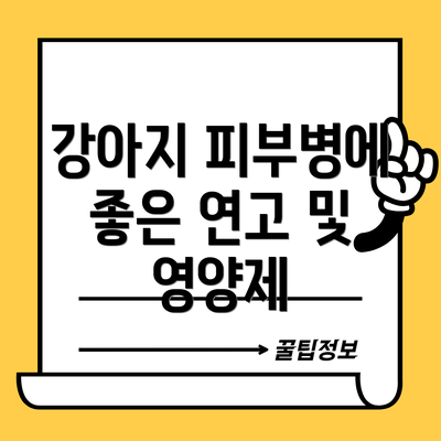 강아지 피부병에 좋은 연고 및 영양제