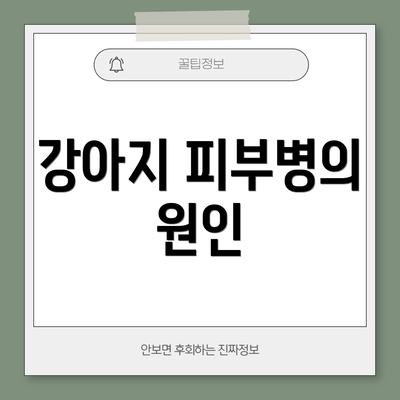 강아지 피부병의 원인