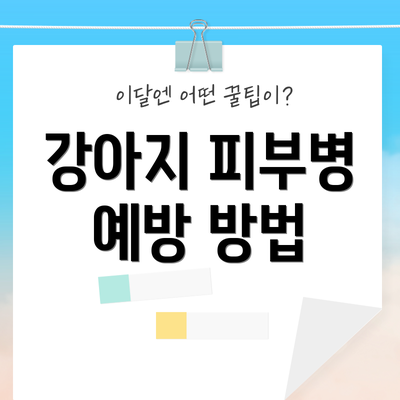 강아지 피부병 예방 방법