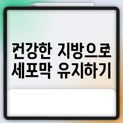 건강한 지방으로 세포막 유지하기