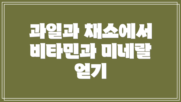과일과 채소에서 비타민과 미네랄 얻기