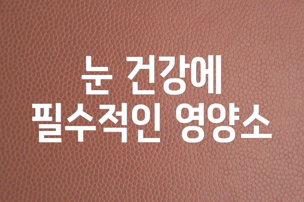 눈 건강에 필수적인 영양소