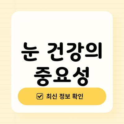 눈 건강의 중요성