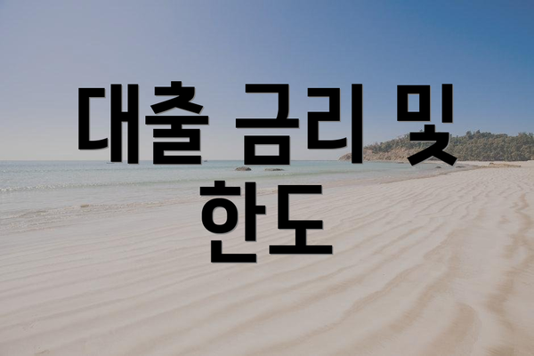 대출 금리 및 한도