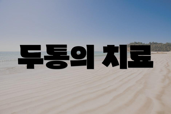 두통의 치료