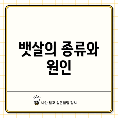 뱃살의 종류와 원인