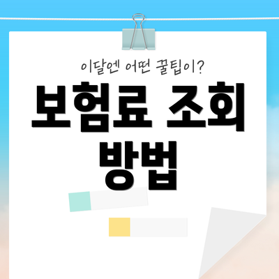 보험료 조회 방법