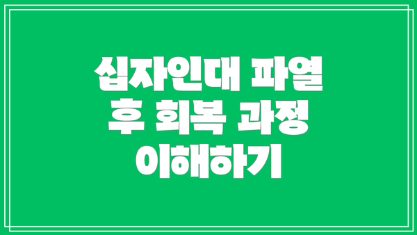 십자인대 파열 후 회복 과정 이해하기