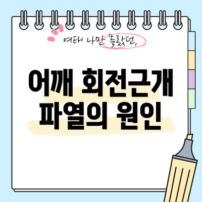 어깨 회전근개 파열의 원인