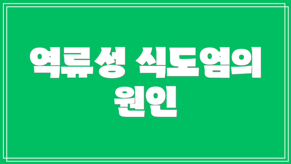 역류성 식도염의 원인