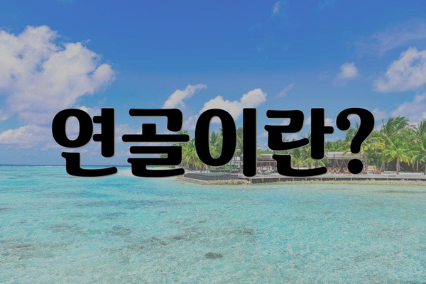 연골이란?