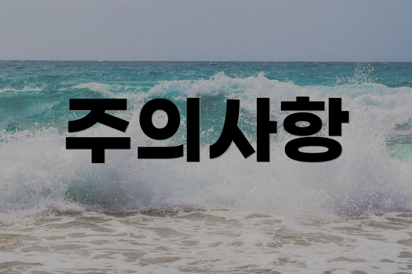 주의사항