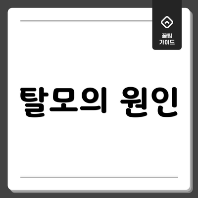 탈모의 원인
