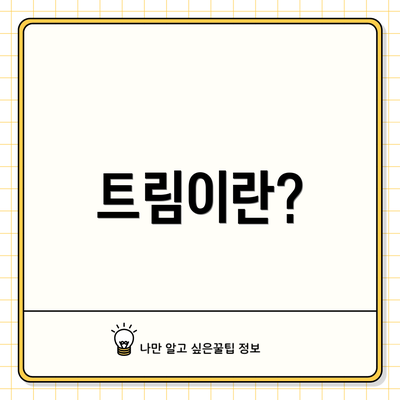 트림이란?