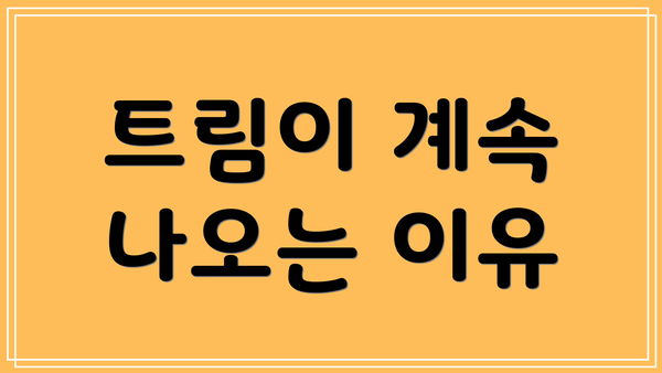트림이 계속 나오는 이유
