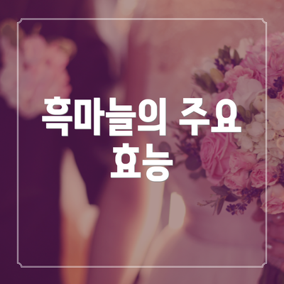 흑마늘의 주요 효능