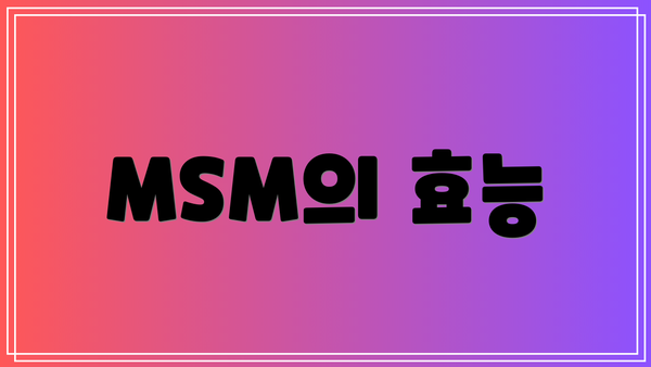 MSM의 효능