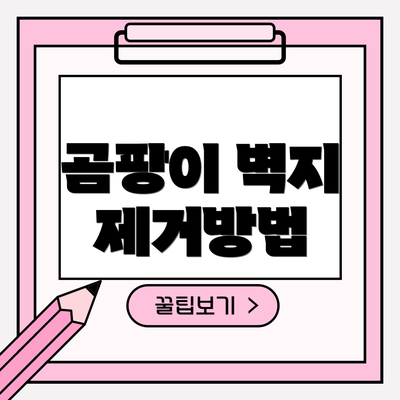 곰팡이 벽지 제거방법
