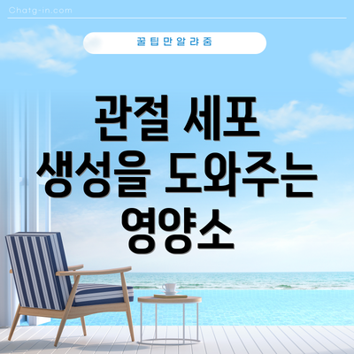 관절 세포 생성을 도와주는 영양소
