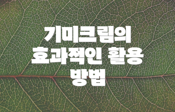 기미크림의 효과적인 활용 방법