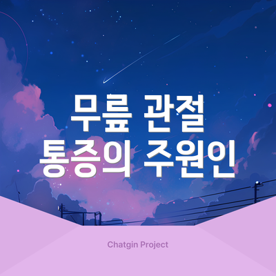 무릎 관절 통증의 주원인