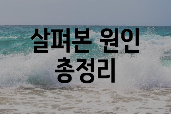 살펴본 원인 총정리