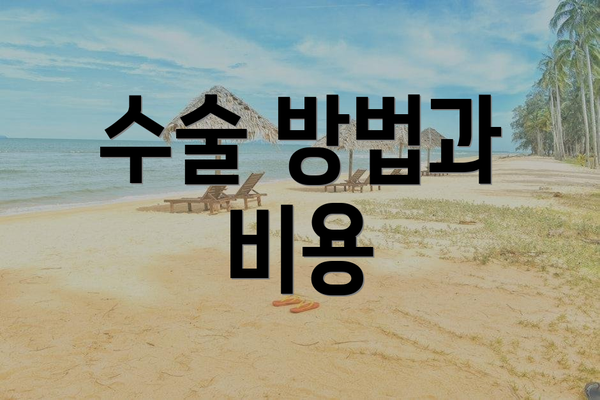 수술 방법과 비용