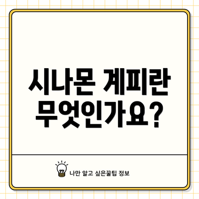 시나몬 계피란 무엇인가요?