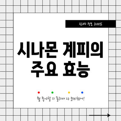 시나몬 계피의 주요 효능