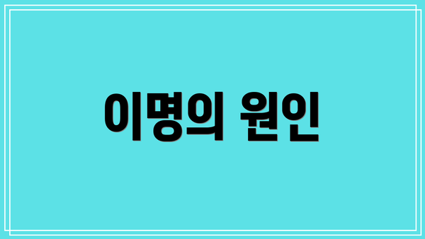 이명의 원인