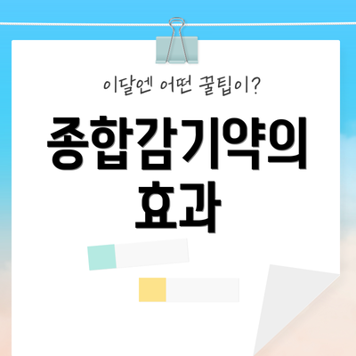 종합감기약의 효과