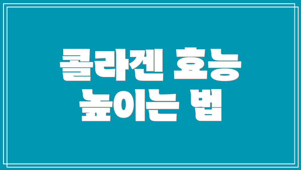 콜라겐 효능 높이는 법