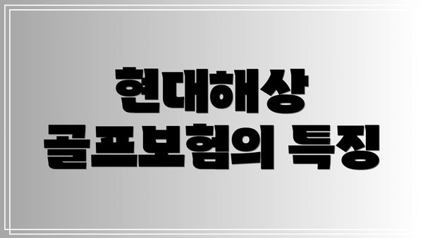 현대해상 골프보험의 특징