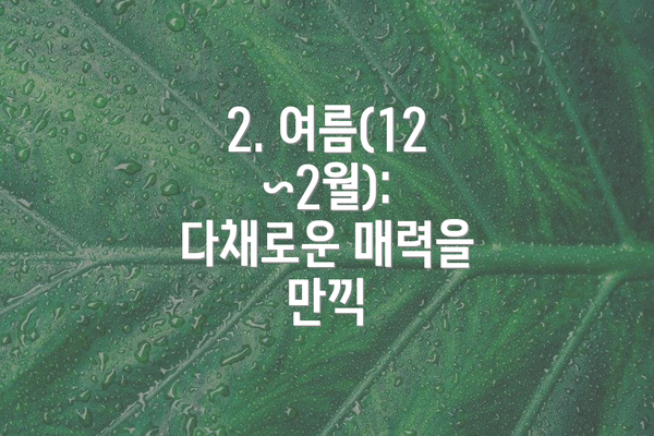 2. 여름(12~2월): 다채로운 매력을 만끽