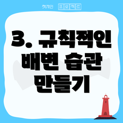 3. 규칙적인 배변 습관 만들기