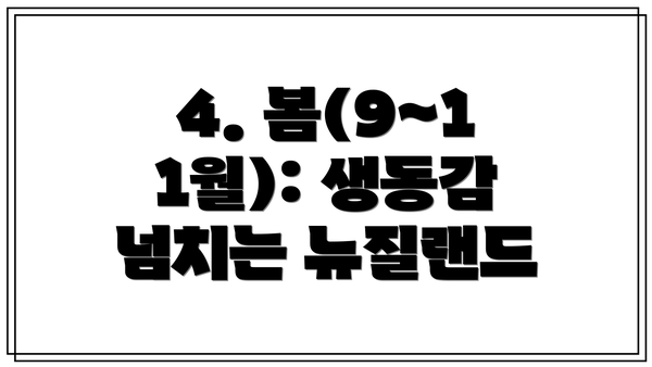 4. 봄(9~11월): 생동감 넘치는 뉴질랜드