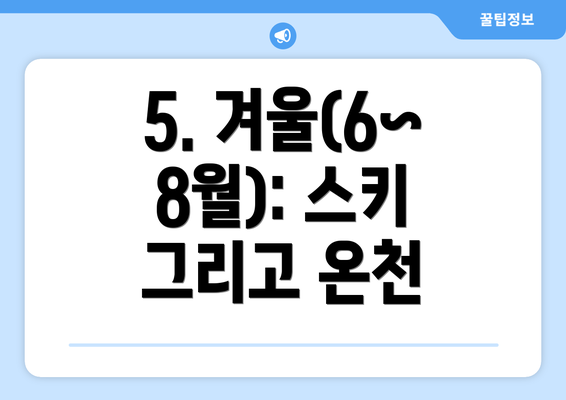 5. 겨울(6~8월): 스키 그리고 온천