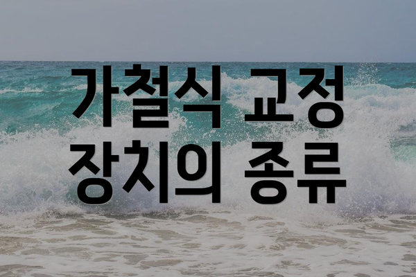 가철식 교정 장치의 종류