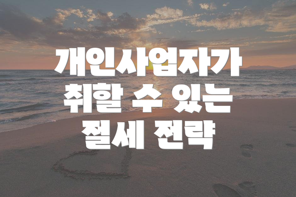 개인사업자가 취할 수 있는 절세 전략