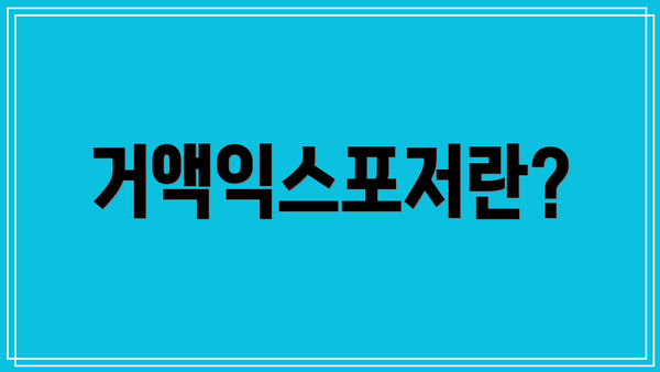 거액익스포저란?