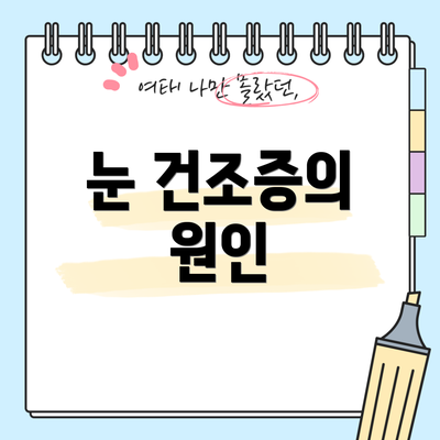 눈 건조증의 원인