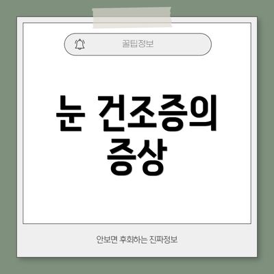 눈 건조증의 증상
