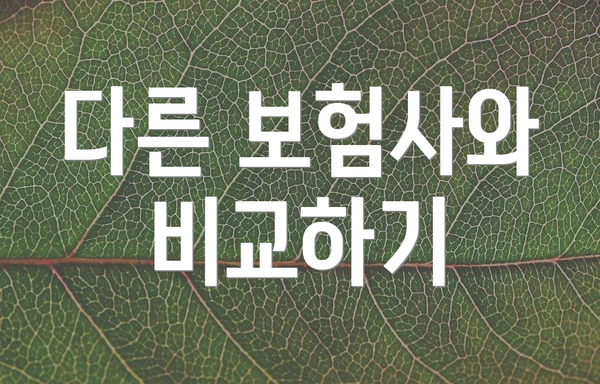 다른 보험사와 비교하기