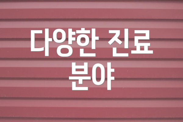 다양한 진료 분야