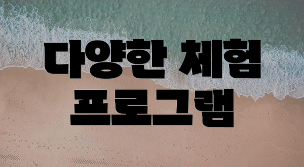 다양한 체험 프로그램