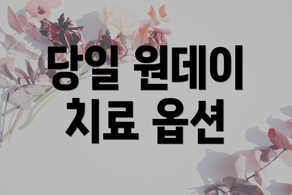 당일 원데이 치료 옵션