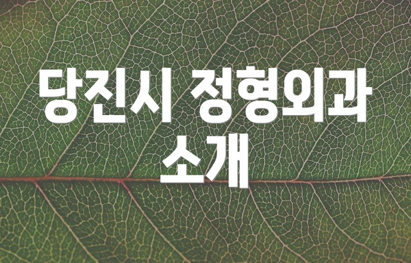 당진시 정형외과 소개