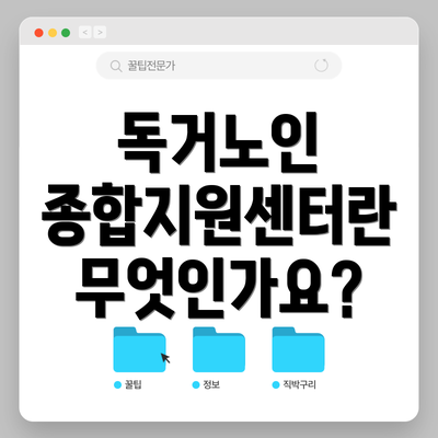 독거노인 종합지원센터란 무엇인가요?