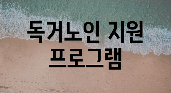 독거노인 지원 프로그램
