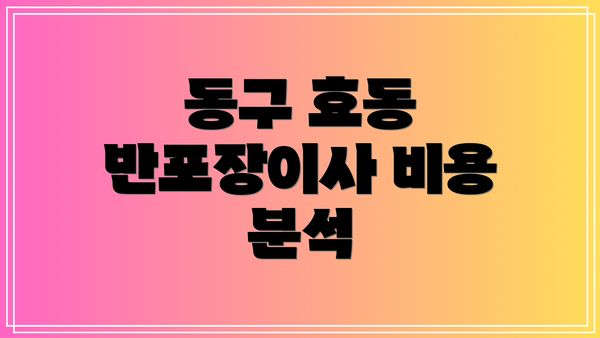 동구 효동 반포장이사 비용 분석